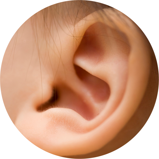 耳のトラブル・病気